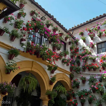 Duplex-atico De Nacar Casco Historico 度假居