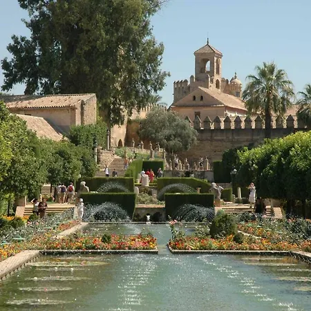 Ferienhaus Duplex-atico De Nacar Casco Historico
