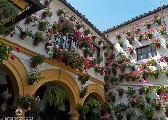 Duplex-atico De Nacar Casco Historico Ferienhaus